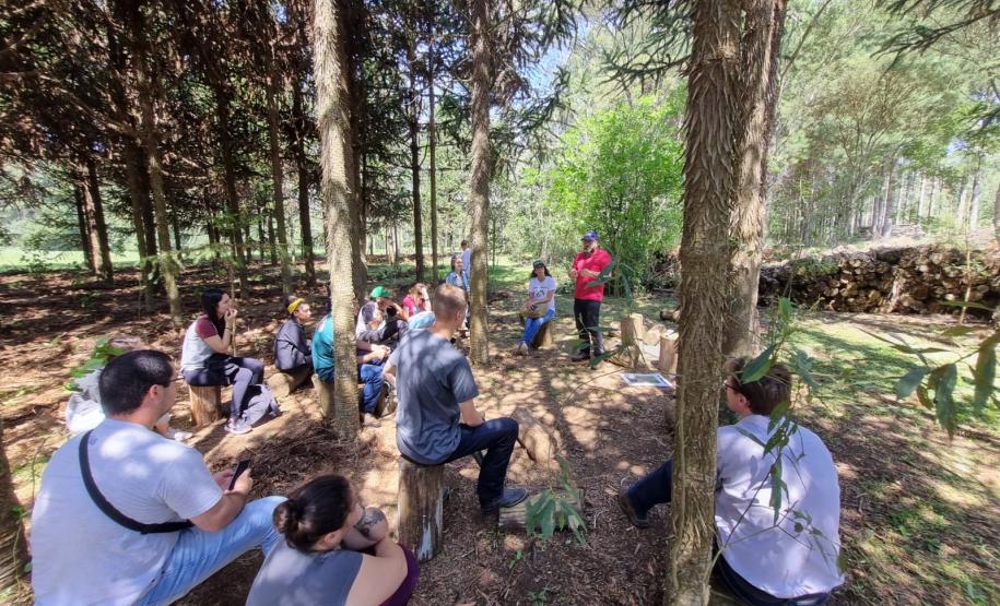 Foto: Vitória Maria Albano Pasqual